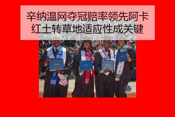 xin-na-wen-wang-duo-guan-pei-shuai-ling-xian-a-ka-hong-tu-zhuan-cao-di-shi-ying-xing-cheng-guan-jian-1-114.jpg